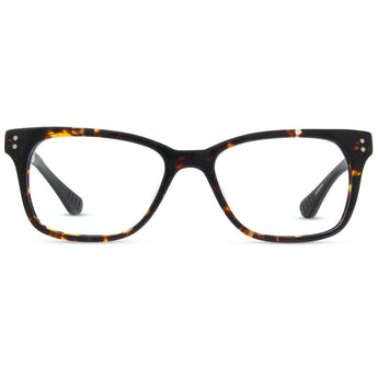 Edward / Elsie - Chestnut Tortoise